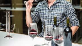 Wine Tour Maipo Valley