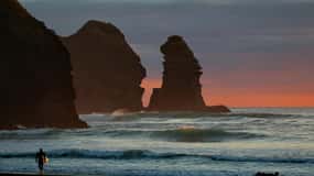 Piha Beach & Wilderness Tour 6hr: Return Trip From Auckland