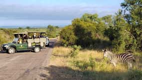 Kruger National Park halvdag
