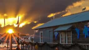 Key West: Hemingway's Life and Local Food Walking Tour