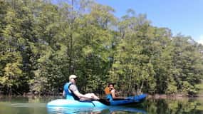 Manuel Antonio: Kayak Tour in the Mangroves to see animals