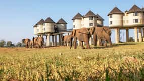 2 days Tsavo East and saltlick safari from Diani/Mombasa