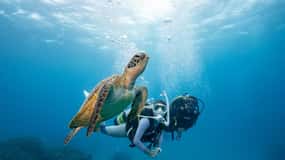 Zakynthos: Scuba Diving Experience with Underwater Photos