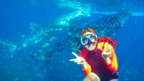 Cebu: Oslob Whale Shark Swimming and Tumalog Falls Tour