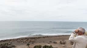 Peninsula Valdes Full Day Tour