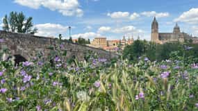 Madrid: Tour of the medieval jewels of Avila and Salamanca