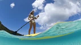 St. Thomas: SUP Rental in the Mangrove Lagoon