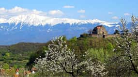From Sibiu: Blue Line & City Tour Sighisoara - UNESCO