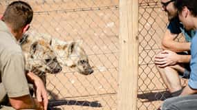 Parque Safari Monarto: Vigilante por un día