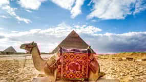 From Sharm El-Sheikh: Cairo Day Tour to Pyramids By Bus