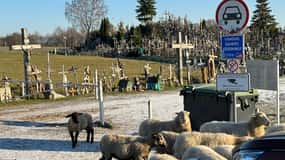 Из Риги: поездка на Гору Крестов, в Рундальский дворец и Бауску