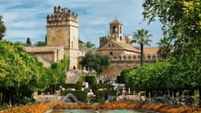 Córdoba : Tour a pie privado por los Patios