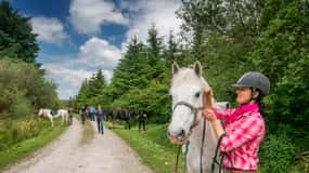 Cabalgando por el camino de tierra. Clara. Con guía. 1 hora