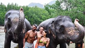 Krabi : Séance de bain pour les éléphants à l'abri des éléphants de Krabi