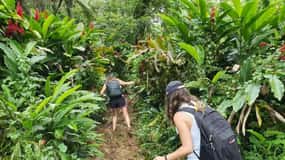 Samoa: Lake Lanoto'o Volcanic Crater Lake Hike & Swim