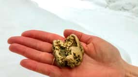 Tankavaara: Entrada al Museu de l'Or, Visita i Extracció d'Or