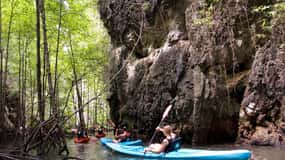 Krabi: A Kayaking Odyssey through Din Daeng Mangrove Maze