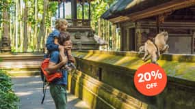 Ubud: Excursão com tudo incluído e almoço opcional