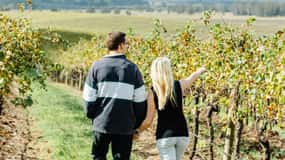Private Hunter Valley Wine Tour Departing from Newcastle
