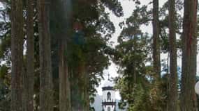 Sao Miguel Island: Sete Cidades and Lagoa do Fogo Tour
