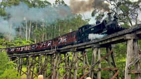 Melbourne: Half-Day Puffing Billy Steam Train Experience