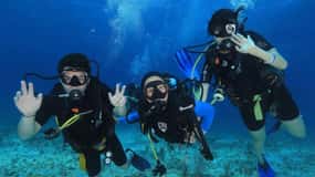 Cancún: Cozumel 2-Tank Diving Tour with Lunch & Transfers