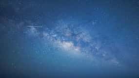 Ishigaki: Jungle Walk and Stargazing Night Tour