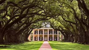 New Orleans: Swamp Boat Ride and Historic Plantation Tour