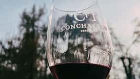 Santiago: Concha y Toro with transfer, tasting & gift cup