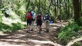 #.1-Day Tour: Kilimanjaro Lemosho Route From Arusha/Moshi