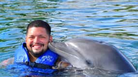 Puerto Plata Ocean World Dolphin Swim