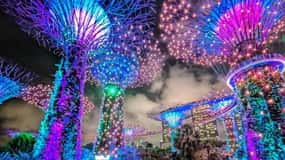 Cruzeiro pelo rio Singapura e 2 espetáculos imperdíveis de luz e água