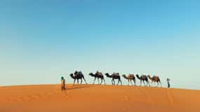 Din Marrakech: 3 zile în deșertul Merzouga, quad - cămilă + cină