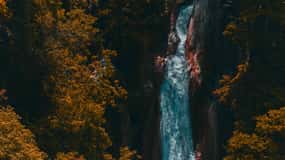 Mussoorie: Kempty Falls, Gun Hill, and Lal Tibba Day Tour
