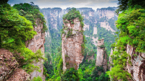 Private Avatar VIP Zhangjiajie National Forest Park Day Tour