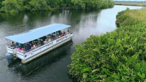 Jamaica: Tour guiado pelo Black River Safari e tour pelas Cataratas YS