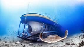 Puerto de la Cruz: Submarine Trip and Beach Stop in Tenerife
