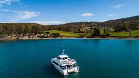 Hobart: Ultimate Seafood Cruise on a Spacious Catamaran