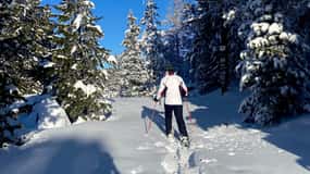Vialattea: Escursioni con le ciaspole nella foresta innevata
