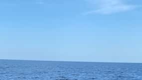 Olbia: Bootstour zur Delfinbeobachtung und zum Schnorcheln