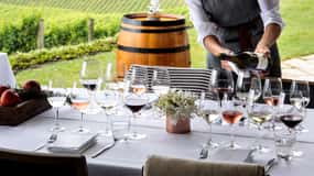 Barossa: Wine Tour with Lunch & Premium Wine Tasting
