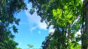 Fra San Juan: Zip Line, flod- og Luquillo-strandtur