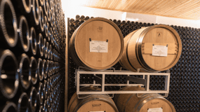 Organic Winery Visit & Wine Tasting with Food in Pavia