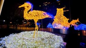 Vancouver Christmas Light Tour private