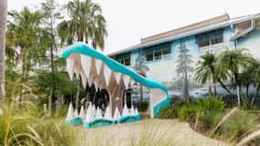 Orlando: Gatorland biljett som låter dig hoppa över kön