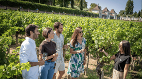 Winery Visit & Fish Market Tour with Tasting from Lisbon