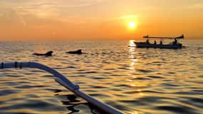 Lovina/observation, baignade et plongée avec masque et tuba avec les dauphins