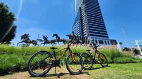 Guadalajara: Alquiler de bicicleta por día.