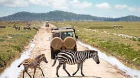 Arusha: Serengeti and Ngorongoro Multi-Day Camping Safari