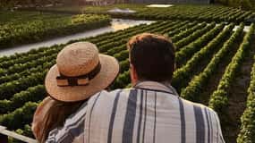 Privatna vinska tura Alyan, zalazak sunca i večera